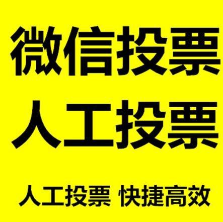 兴安盟投票活动拉票能被查出来吗？如何操作能不被发现？